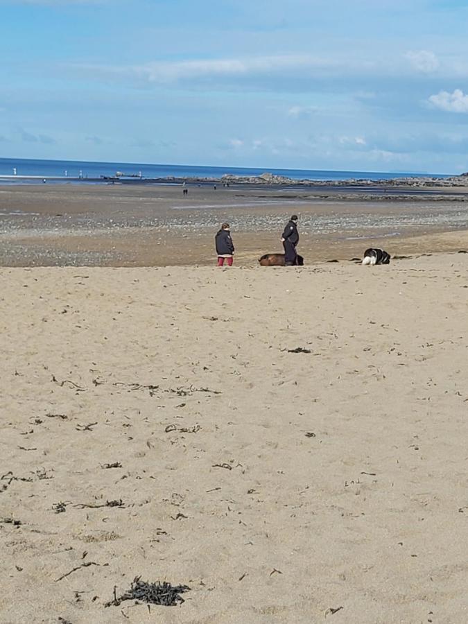 Caravan On The Devon\cornwall Border * Bridgerule